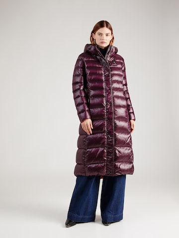 Cappotto invernale di Blauer.USA in lilla: frontale
