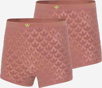 Culotte ' Terrot Flex ' ADIDAS ORIGINALS en marron : devant