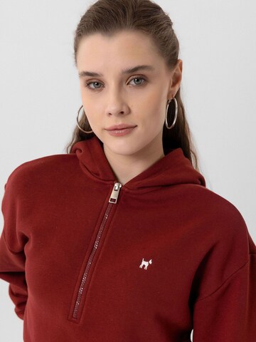 Williot Sweatshirt 'Isabella' in Red