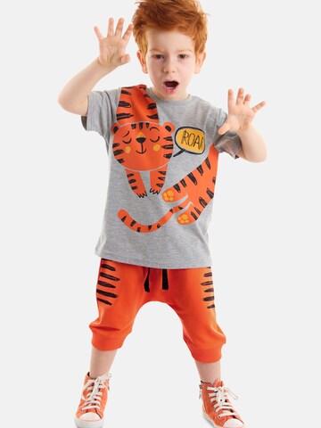 Set 'Orange Tiger' Denokids en gris : devant