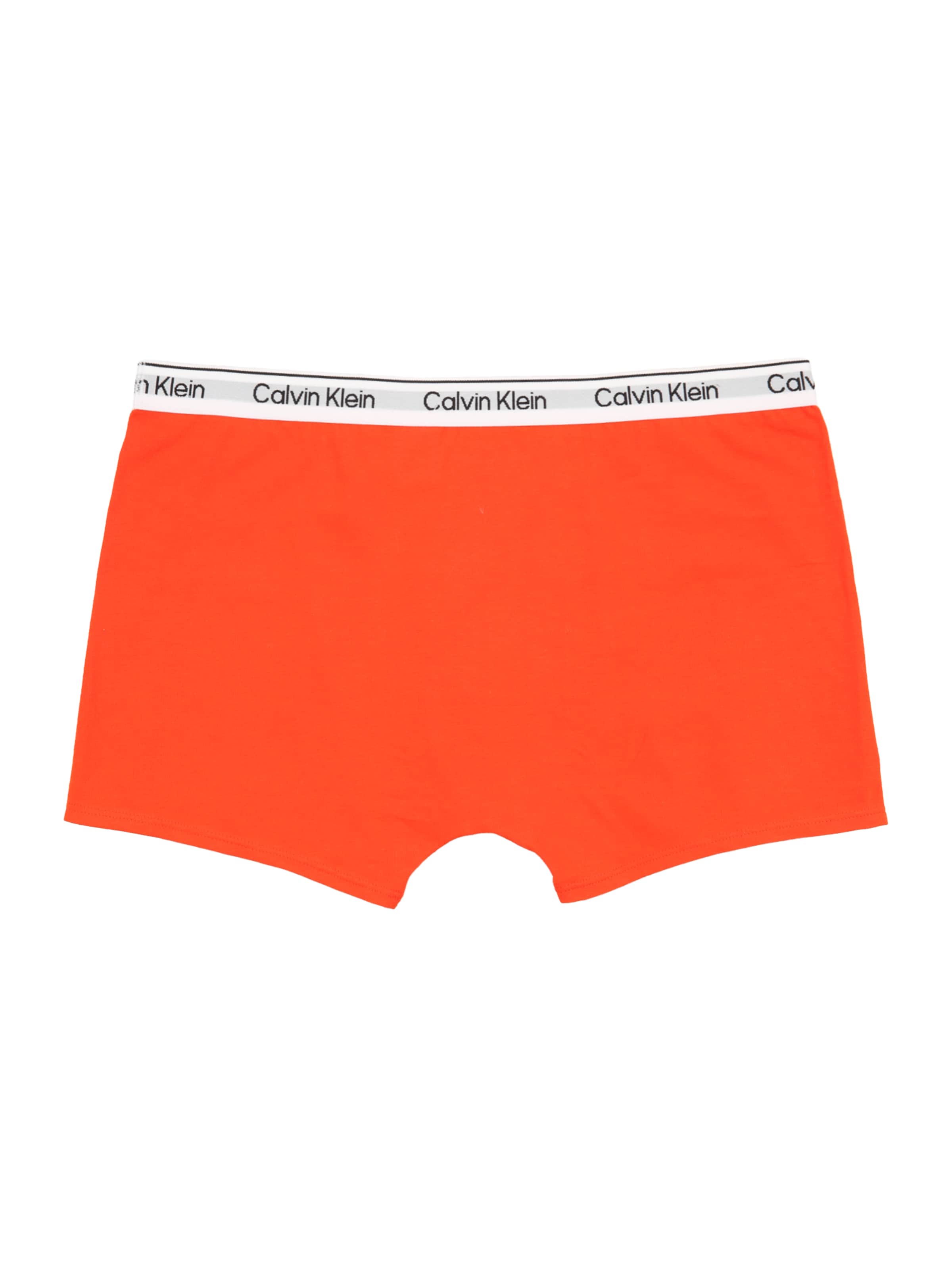 Calvin Klein Underwear Kalsong i blå