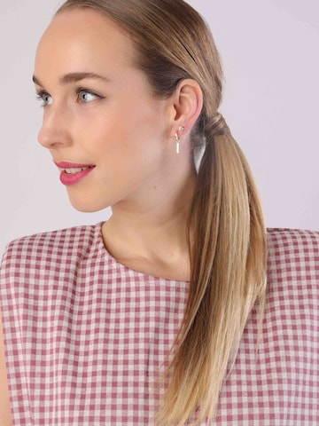 Lucardi Earrings in Gold: front