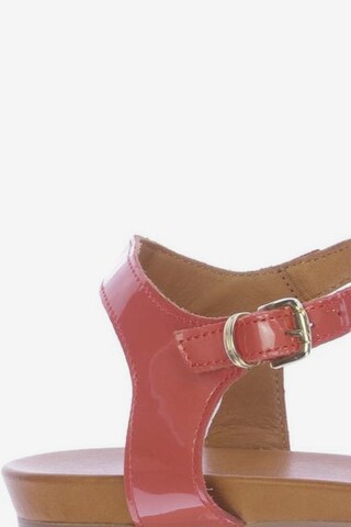 Apple of Eden Sandals & High-Heeled Sandals in 42 in Red