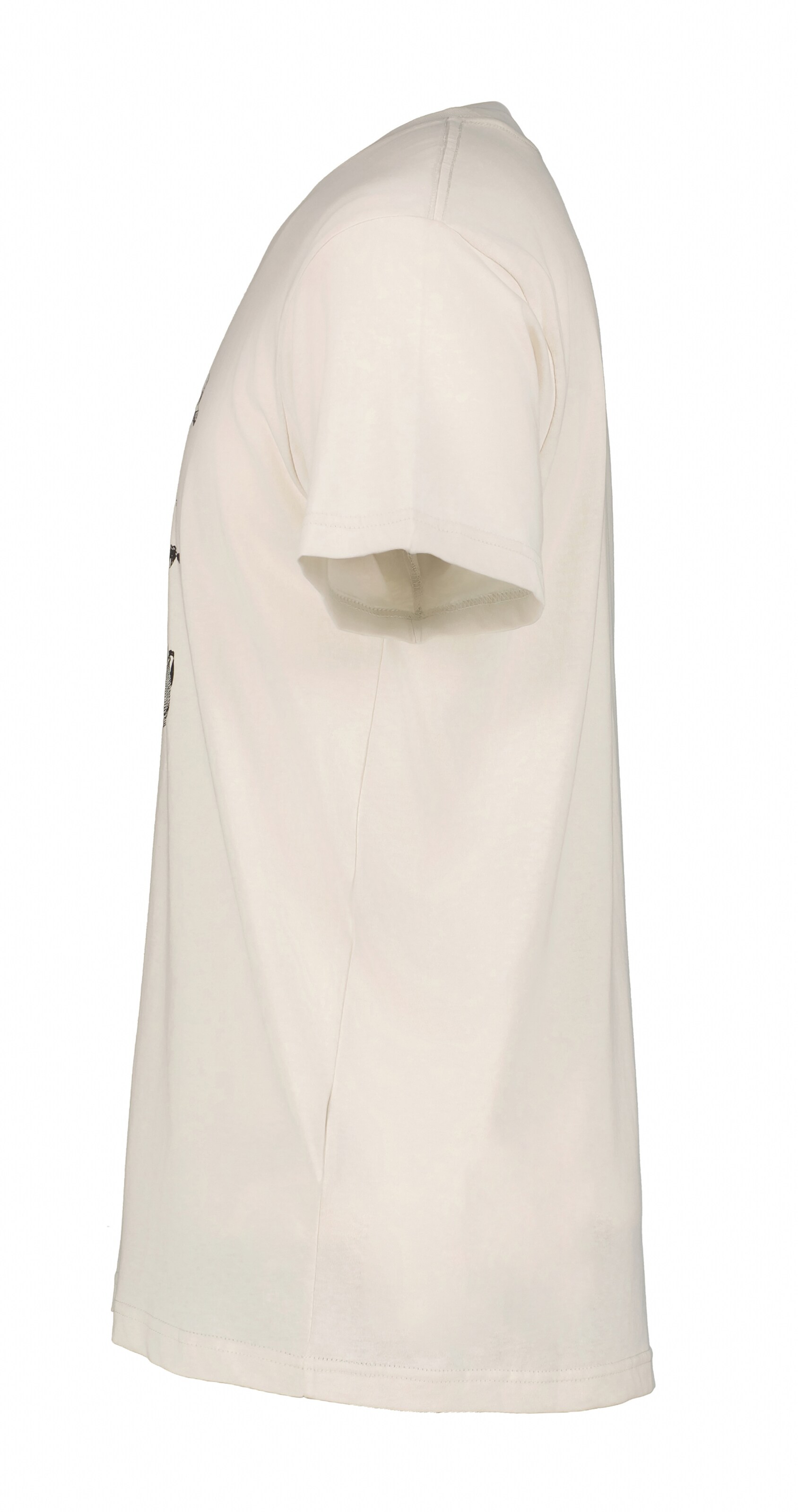 ICEPEAK T-Shirt in Beige