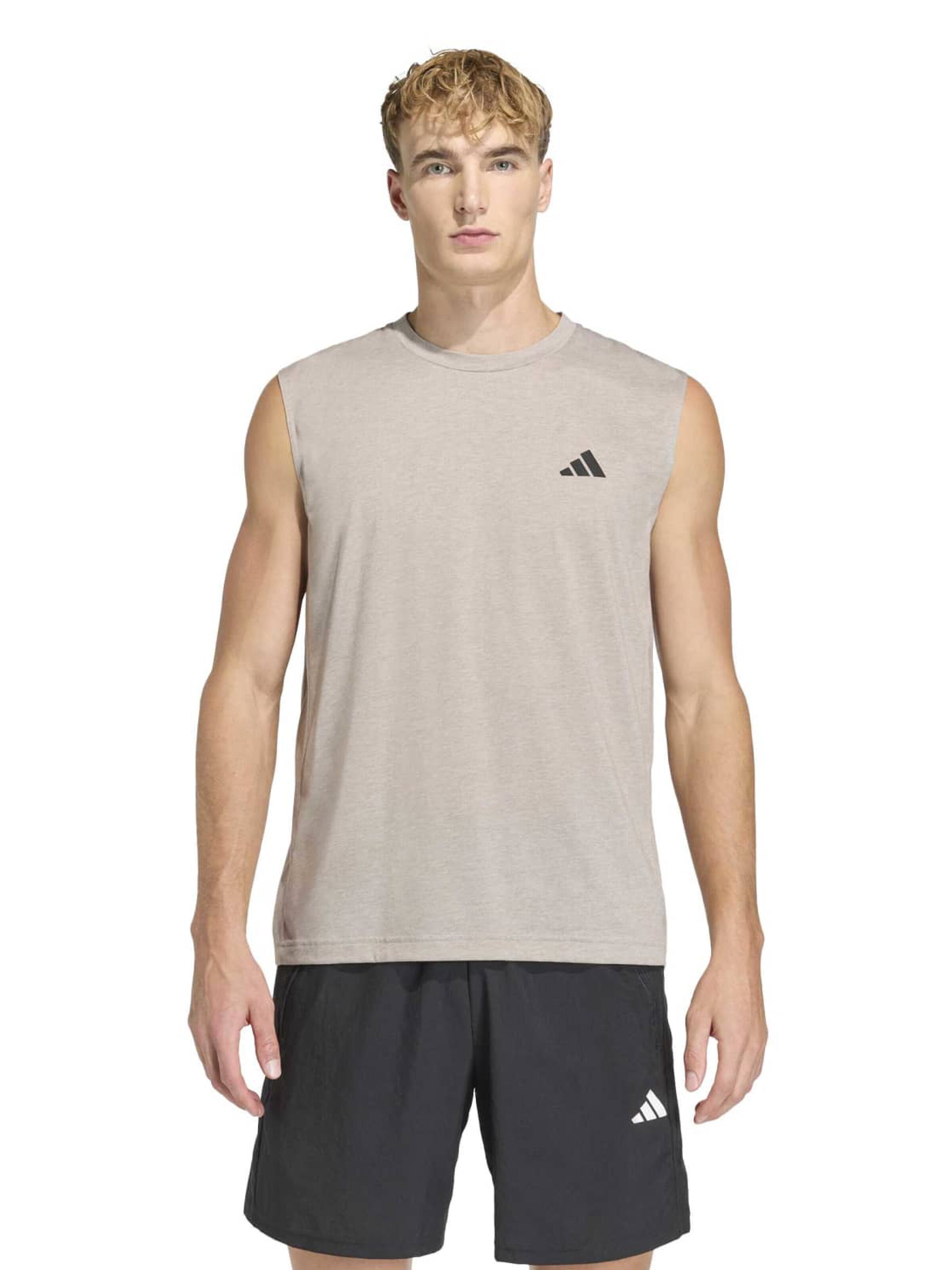 ADIDAS PERFORMANCE - Camiseta funcional en gris: frente