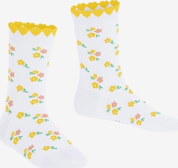 FALKE Socks 'Ditsy Flowers' in White: front