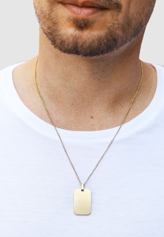 Steelwear Collier 'Melbourne' in Gold