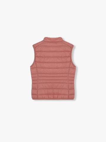 Scalpers Slimfit Bodywarmer in Roze