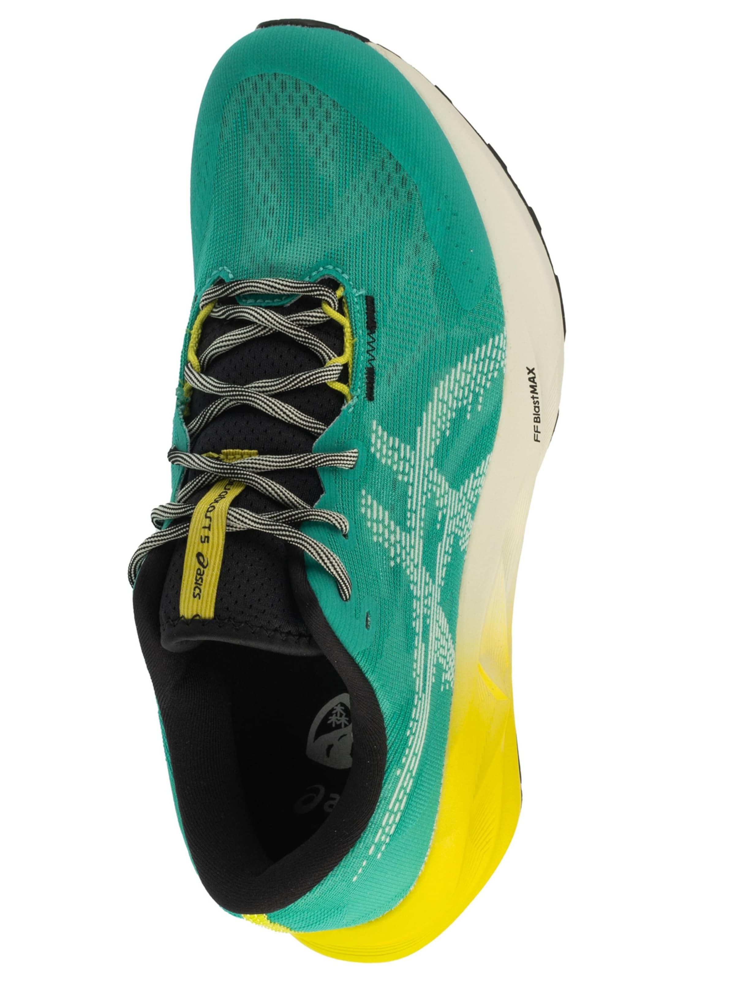 ASICS Running shoe 'Novablast 5 TR' in Green
