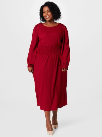Dorothy Perkins Curve Dress 'Berry' in Red: front