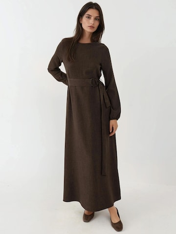 Hiccup Dress in Brown