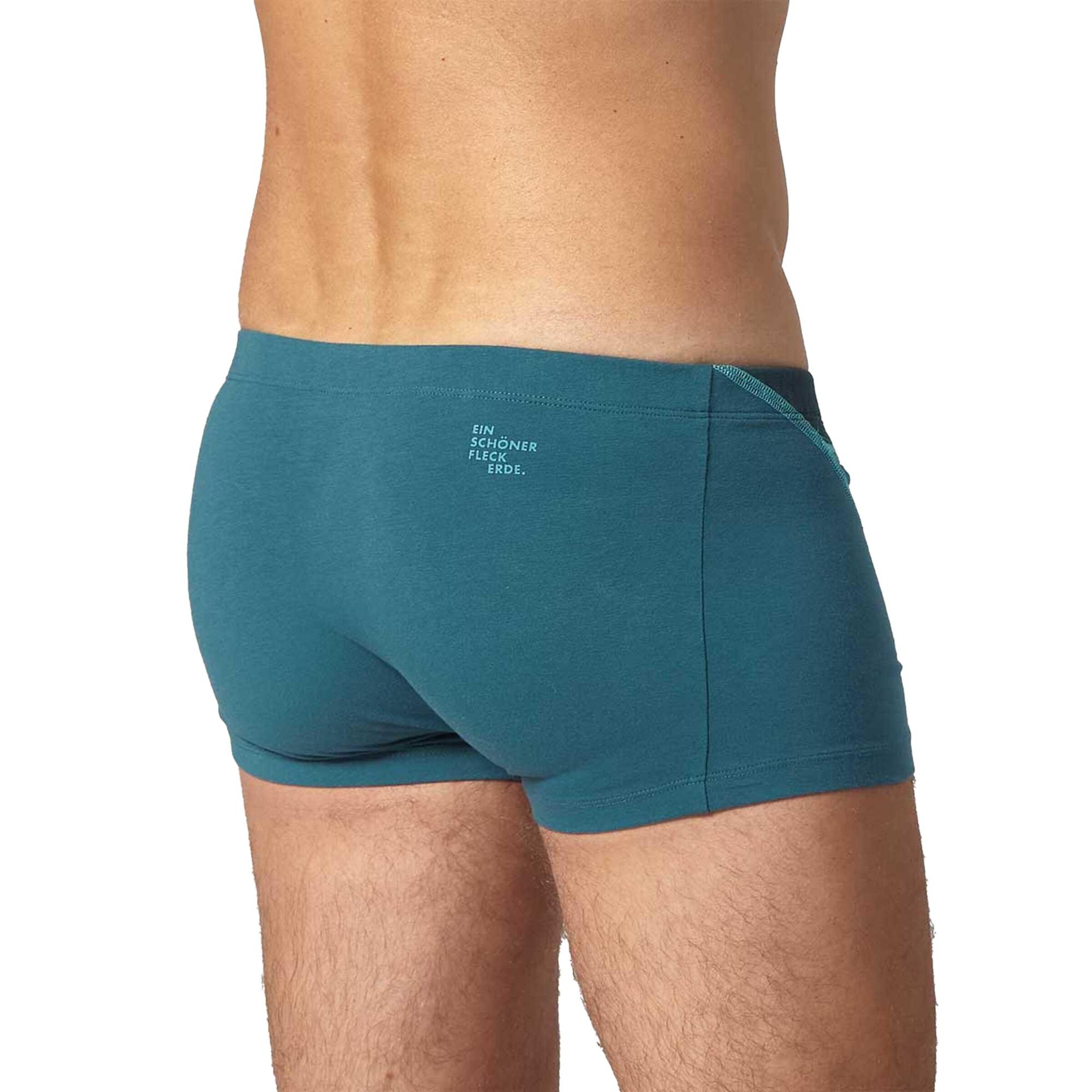 Ein schöner Fleck Erde Boxer shorts in Blue