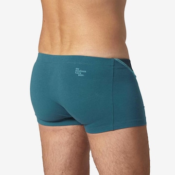 Ein schöner Fleck Erde Trunks in Blau