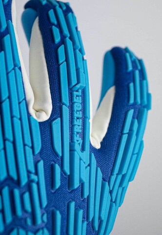 REUSCH Sporthandschoenen 'Attrakt Freegel Aqua Windproof' in Blauw