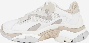 ASH - Sapatilhas baixas 'Addict' em bege: frente