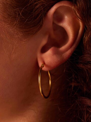 Boucles d'oreilles 'Glitzerndes Basic' Lucardi en or : devant