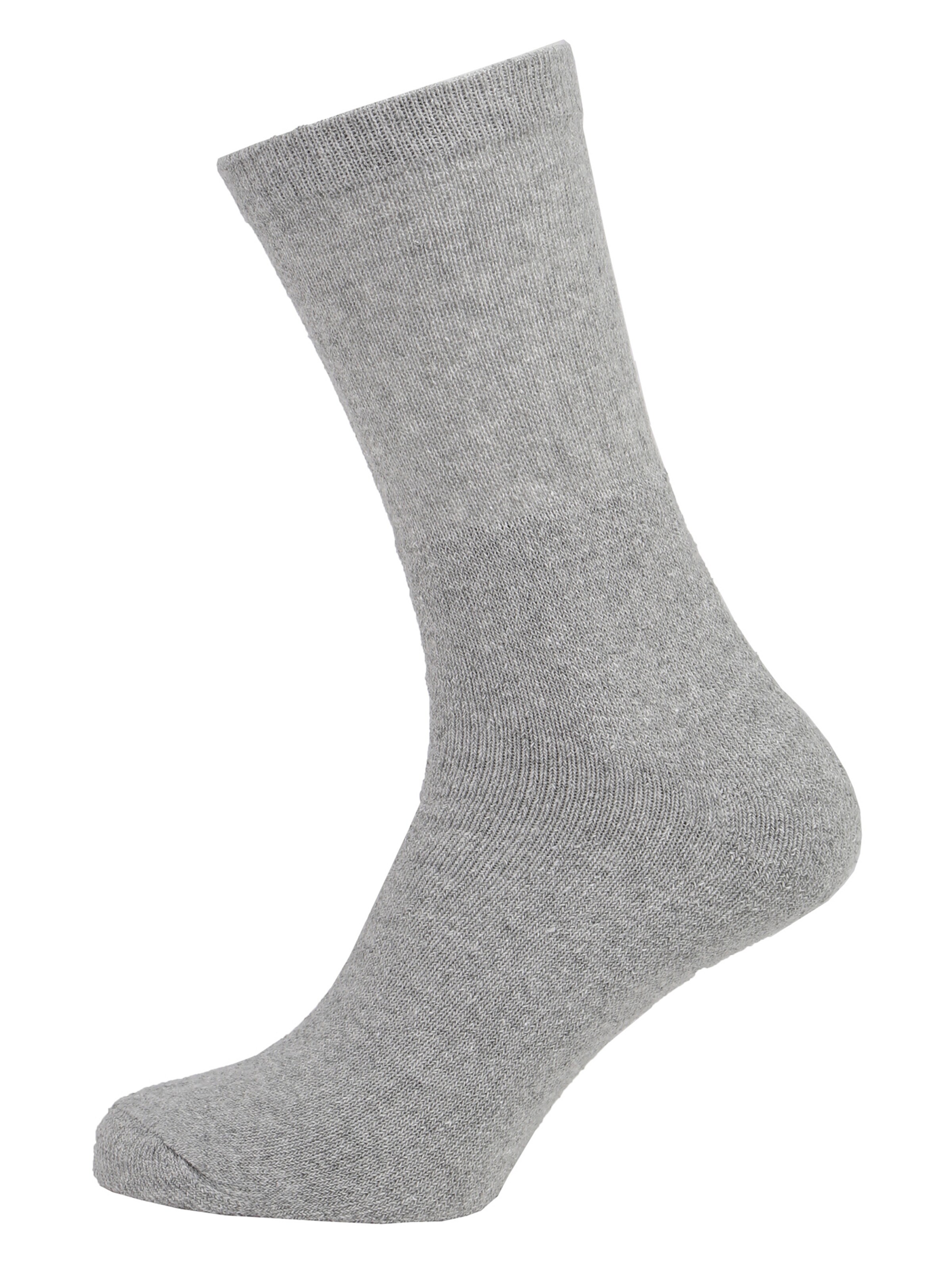 Albert Schäfer Socks in Grey