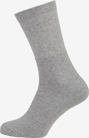 Albert Schäfer Socks '30er Pack' in Grey