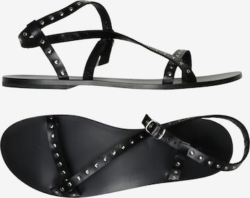 Anine Bing Sandalen 40 in Schwarz: Vorderseite