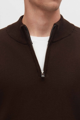 D’S Damat Trui in Bruin