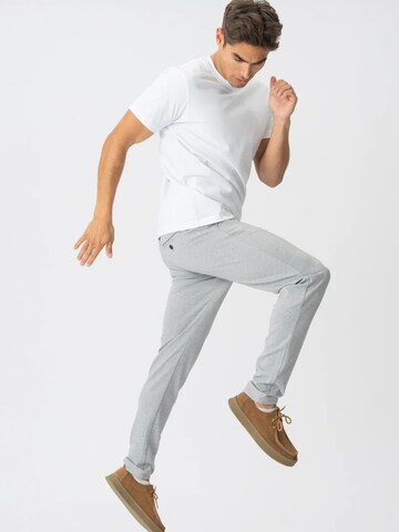 TEESHOPPEN Regular Trousers ' The Original ' in Grey