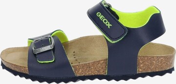 Chaussures ouvertes GEOX en bleu