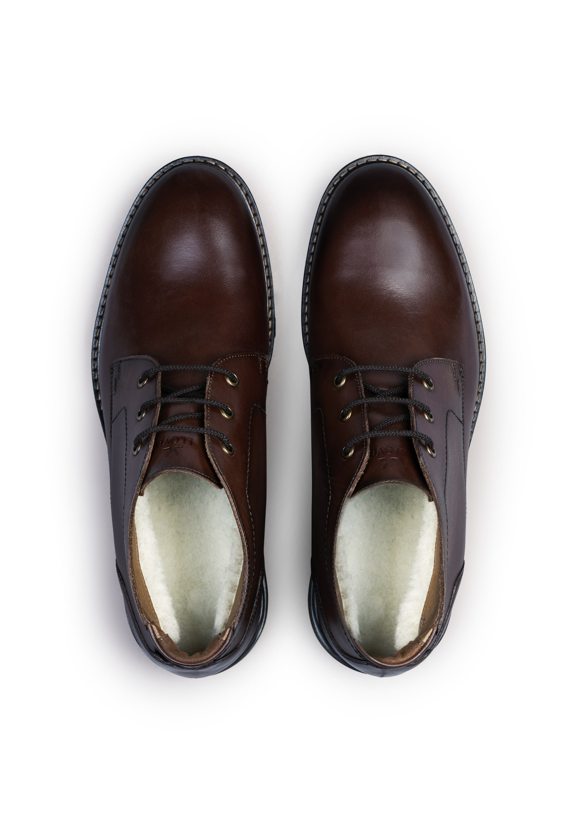 Bottes à lacets 'VIBE 327GL' LLOYD en marron