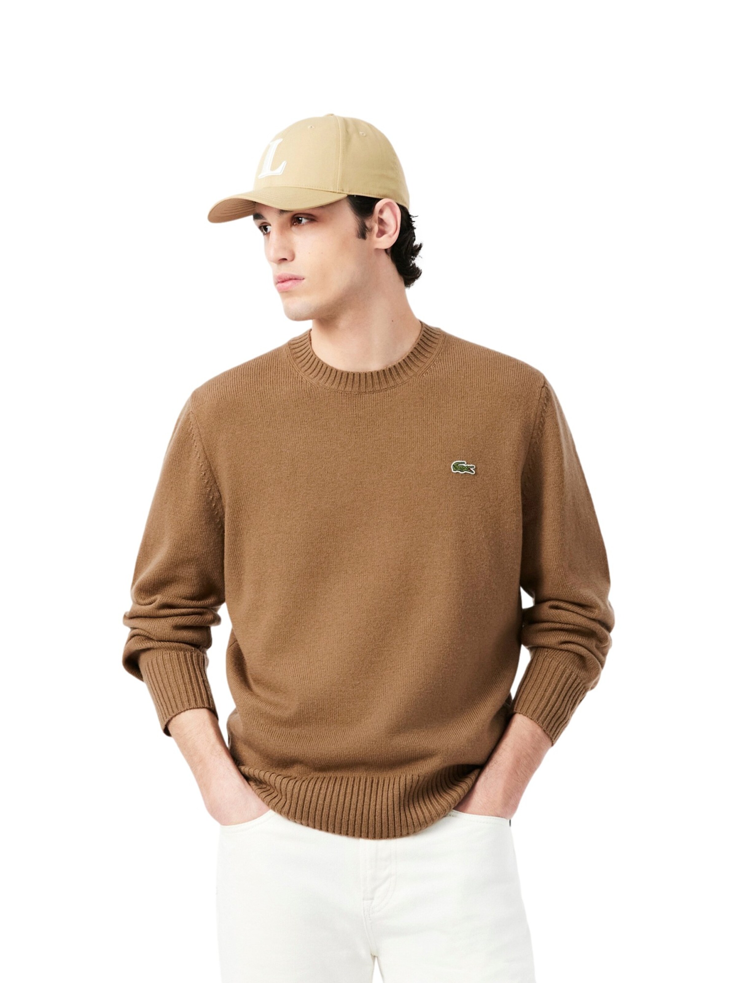 Pullover di LACOSTE in marrone: frontale