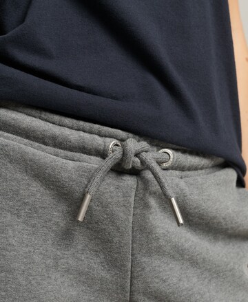 Superdry Regular Pants in Grey