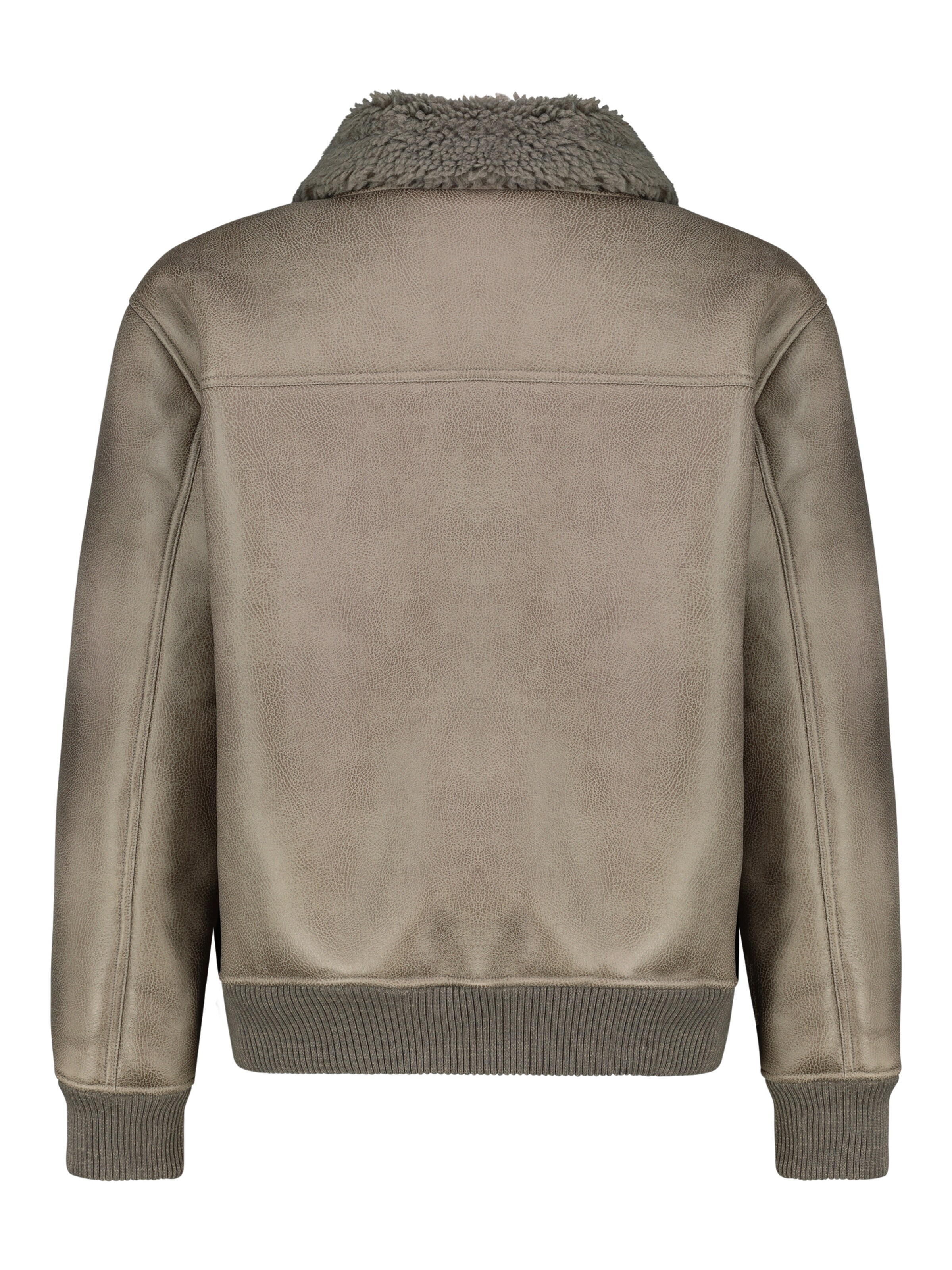 Sublevel Winter Jacket in Brown