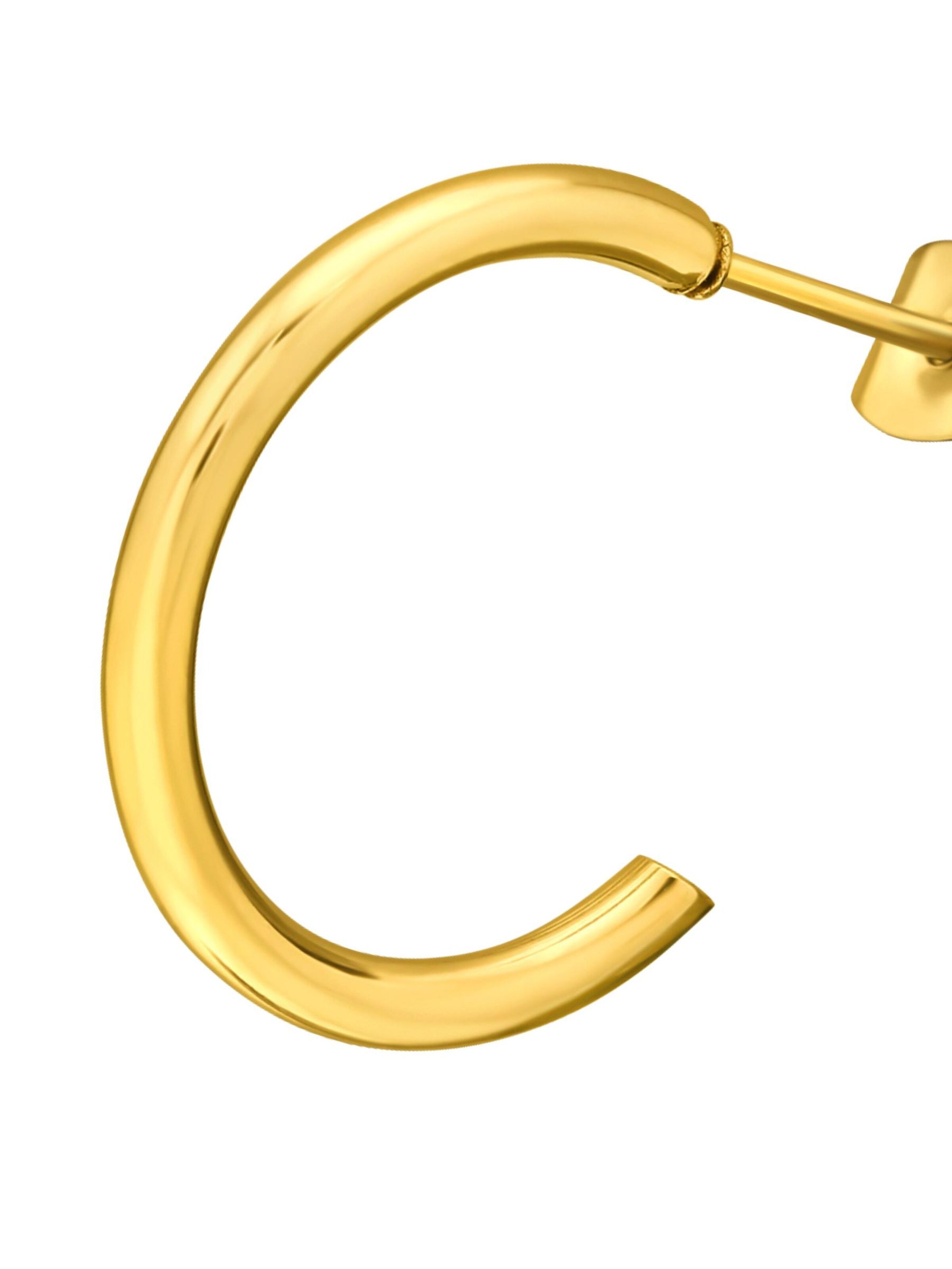 Maxte Earrings in Gold