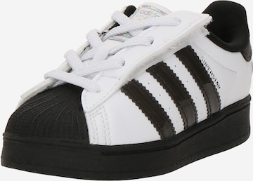 Sneaker 'SUPERSTAR' di ADIDAS ORIGINALS in bianco: frontale