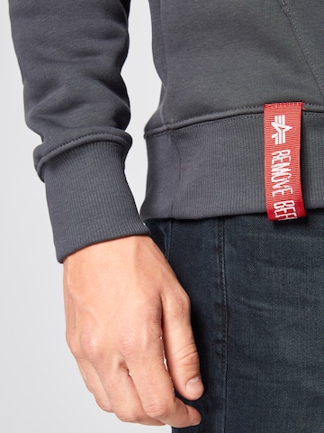 ALPHA INDUSTRIES Bluzka sportowa w kolorze szary