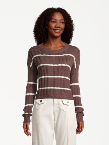 AÉROPOSTALE Pullover i brun: forside