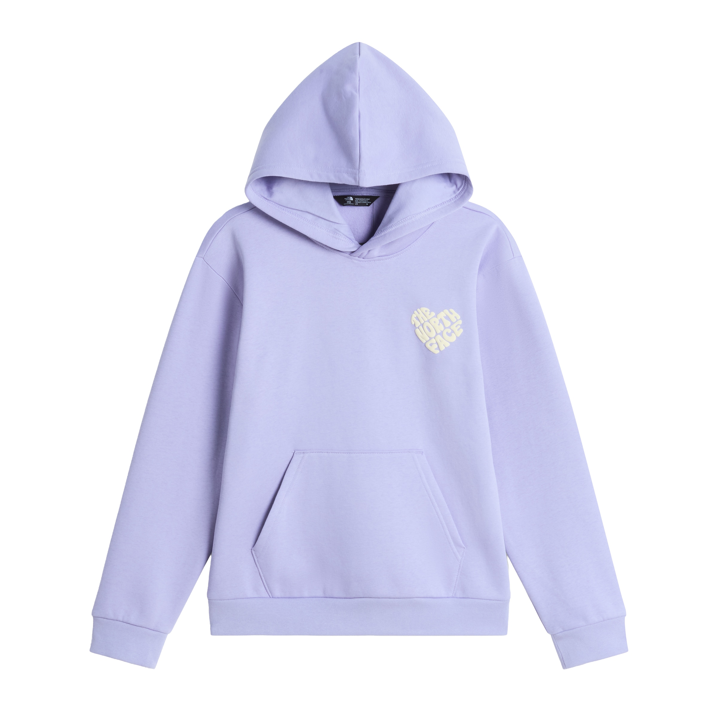 THE NORTH FACE Sweatshirt in Purple: front
