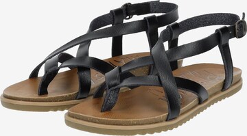 Blowfish Malibu T-Bar Sandals in Black