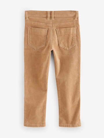 Next Regular Hose in Braun