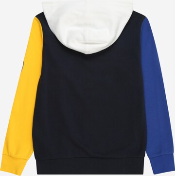 Champion Authentic Athletic Apparel Sweatshirt i blå