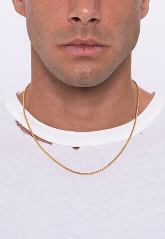 Commen Lines Necklace in Gold: front