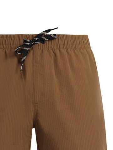 PROTEST Swimming shorts 'PRTAgden' in Brown