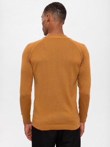 Pull-over Antioch en marron