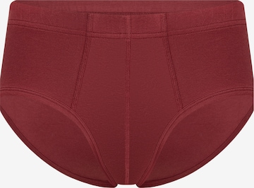 Albero Natur Panty in Red: front