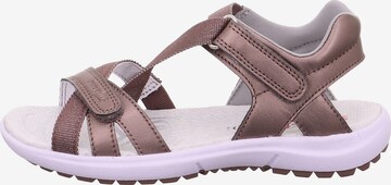 SUPERFIT Sandalen 'Rainbow' in Bruin