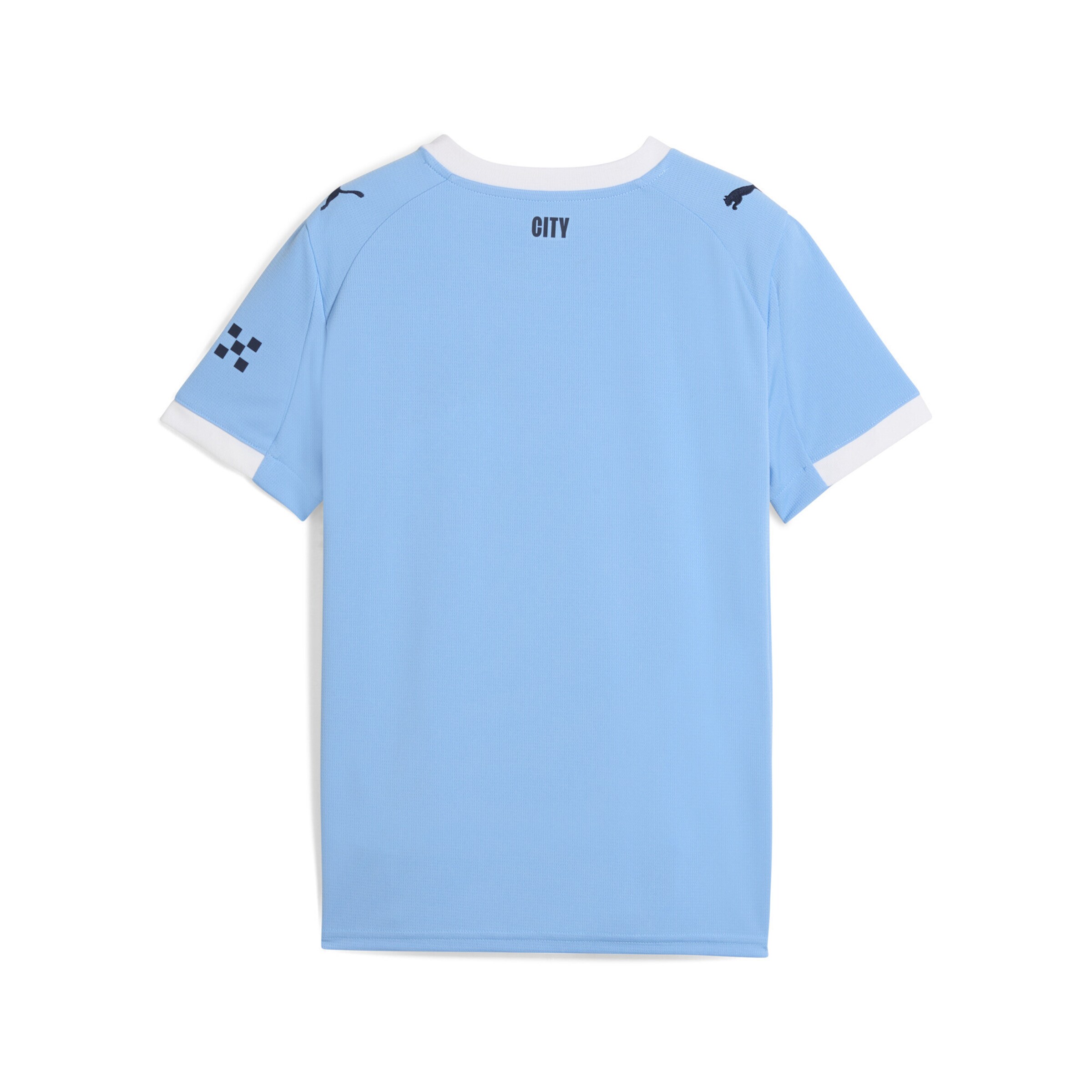 PUMA Funktionsshirt 'Manchester City 25/26' in Blau: Vorderseite
