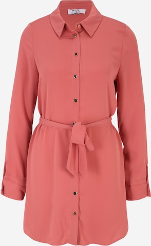 Dorothy Perkins Petite Shirt dress in Pink: front