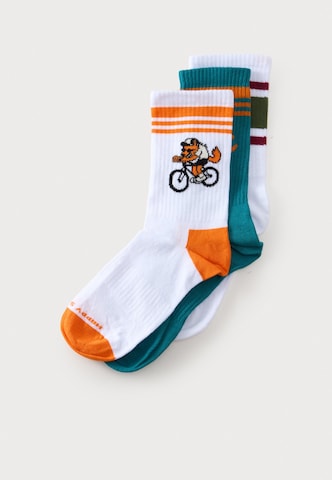 Happy Socks Socken 'Bike Wolf' in Grün: Vorderseite