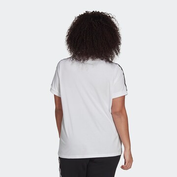 ADIDAS ORIGINALS T-Shirt 'Adicolor Classics 3-Stripes ' in Weiß