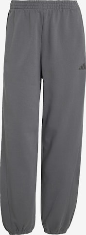 ADIDAS SPORTSWEAR - Calças de desporto em cinzento: frente
