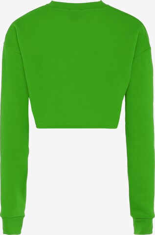 NALLY Sweatshirt in Groen