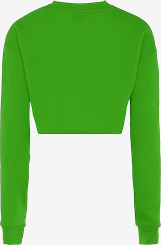 NALLY Sweatshirt in Green